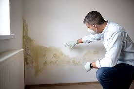 Best HVAC Mold Inspection and Cleaning  in Keeseville, NY